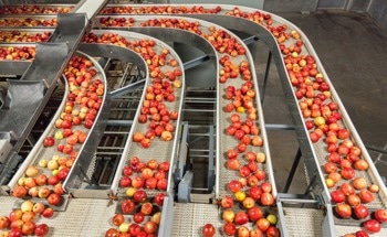 Automation in Nutritional Testing: How Technology is Improving Accuracy, Efficiency, and Compliance