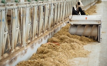 Are Robots Going to Increase Our Quality of Life?