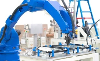 How Can the Study of Elephant Trunk Skin Help Us Build Robots?