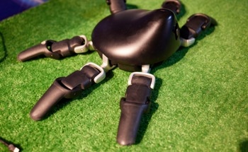 How Hydrogels Are Being Used to Build Soft Robots
