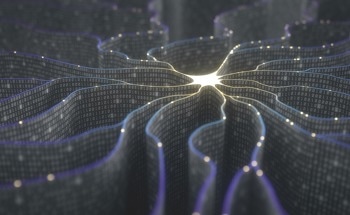 What Are Artificial Neural Networks?