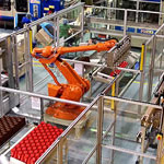 Manufacturing Robotics from Apex Automation and Robotics Pty Ltd.