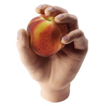 Bionic Hand from Endolite India Limited