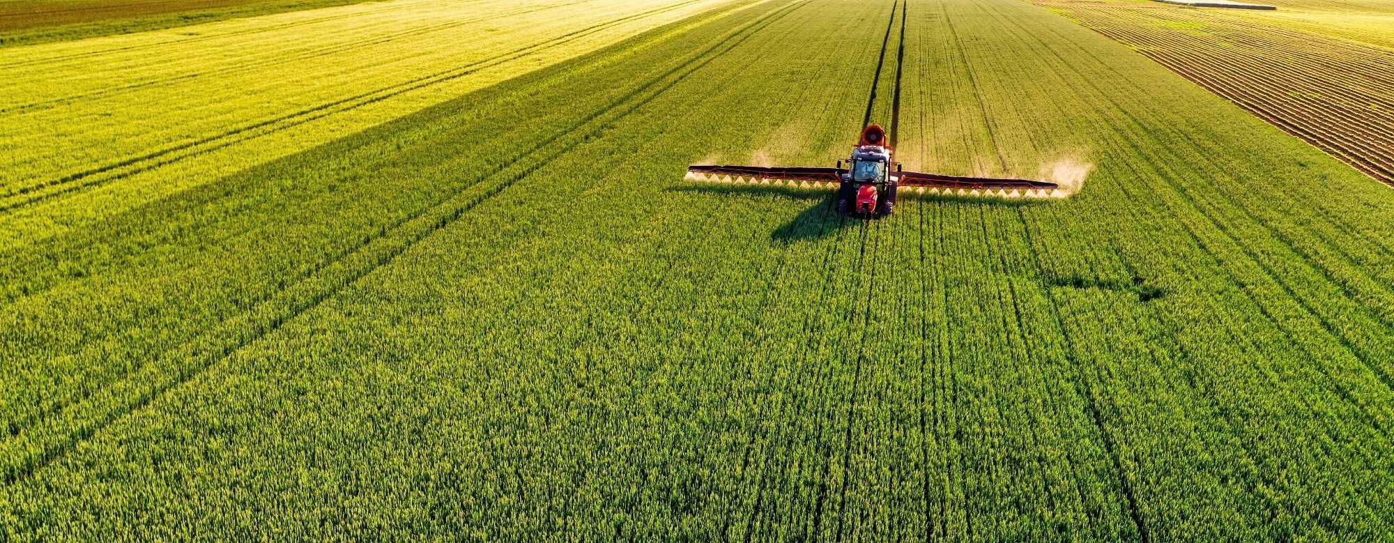 Who’s Leading the Global Agricultural Robotics Race?
