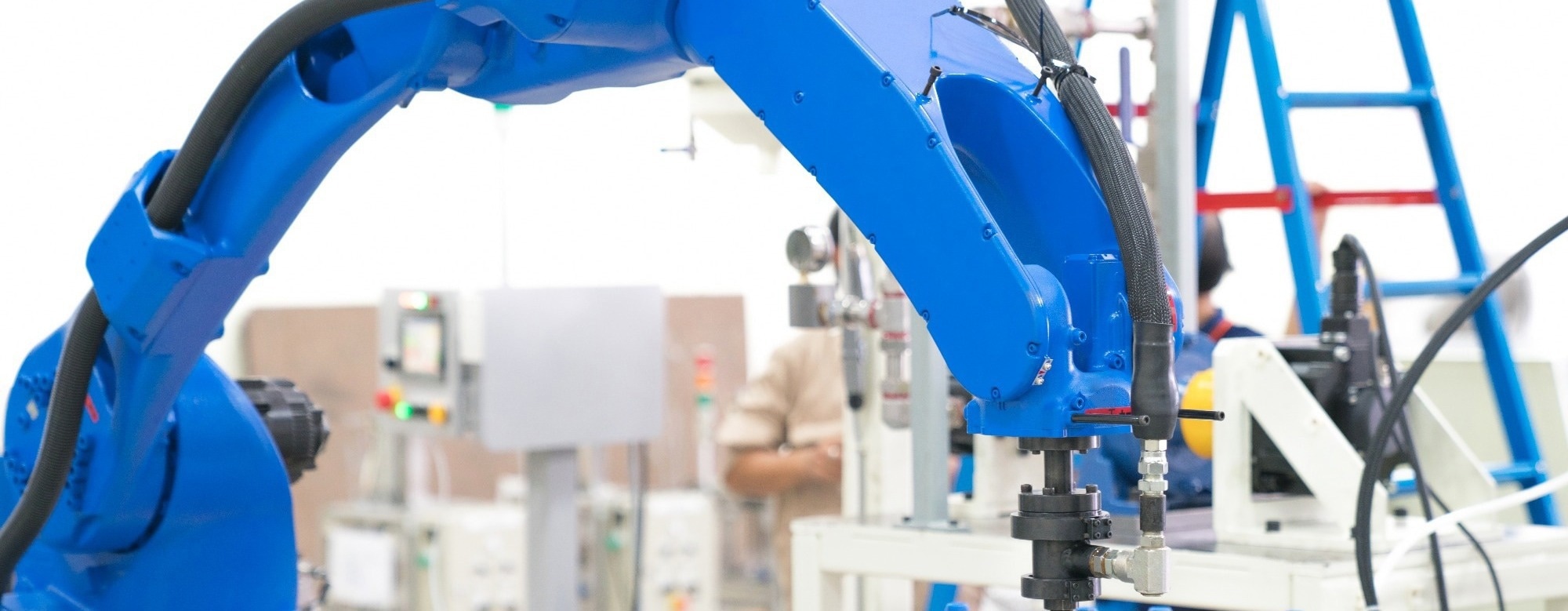 How Can the Study of Elephant Trunk Skin Help Us Build Robots?