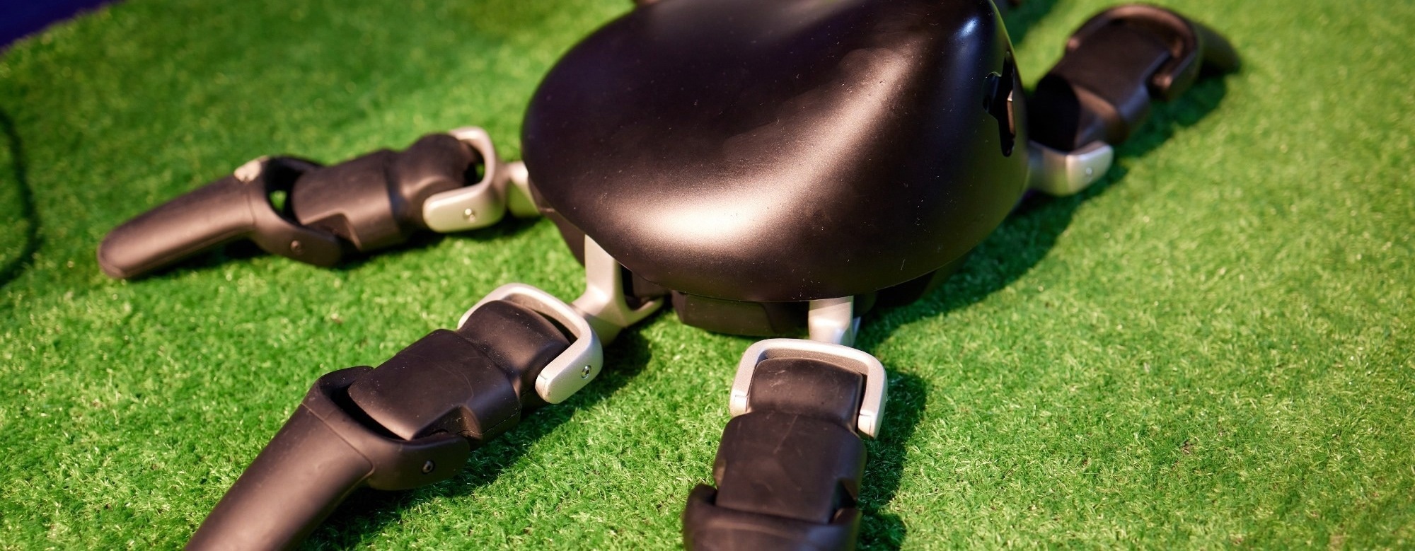 How Hydrogels Are Being Used to Build Soft Robots