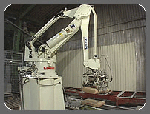 Bag Palletizing from Kawasaki Heavy Industries Ltd.