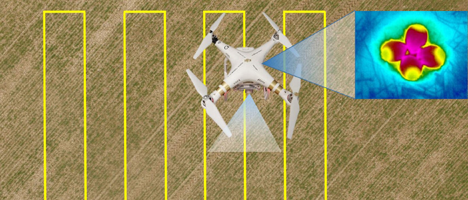 Artificial Intelligence and Drones can Help Conserve Farmland Bird Species