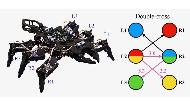 Coupled Rössler Systems Help Generate Insect-Like Gaits for Tiny Robots