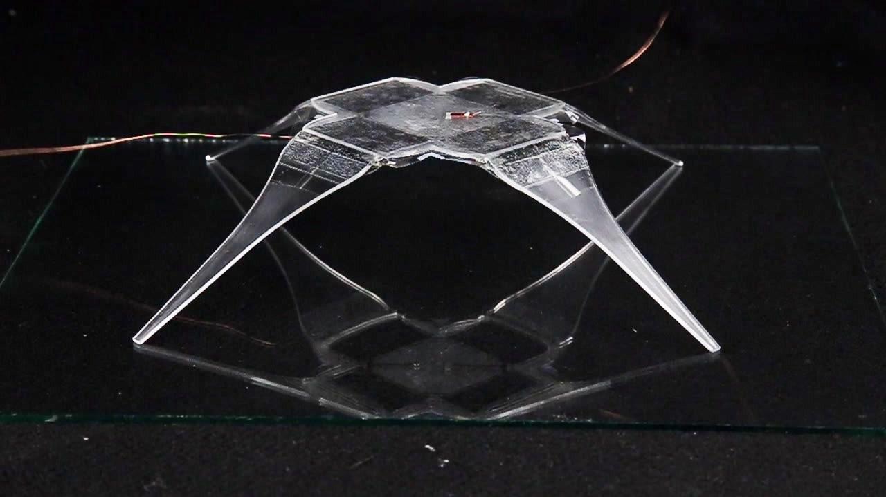 Researchers Identify a New Way to Create Lightweight Robots