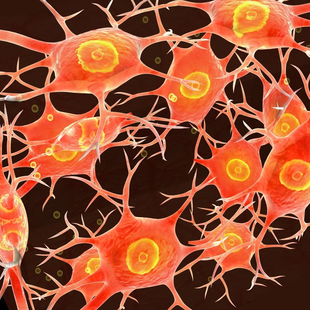 neural tissue