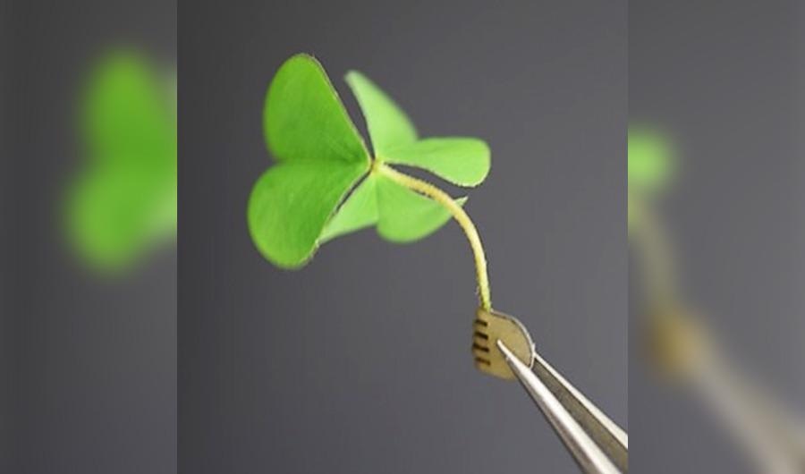 Tiny Robotic Hand with Electrified Fingers Manipulates Living Tissue