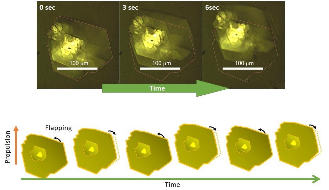 Synthesized Microrobots Self-Propel into a Two-Dimensional Tank.