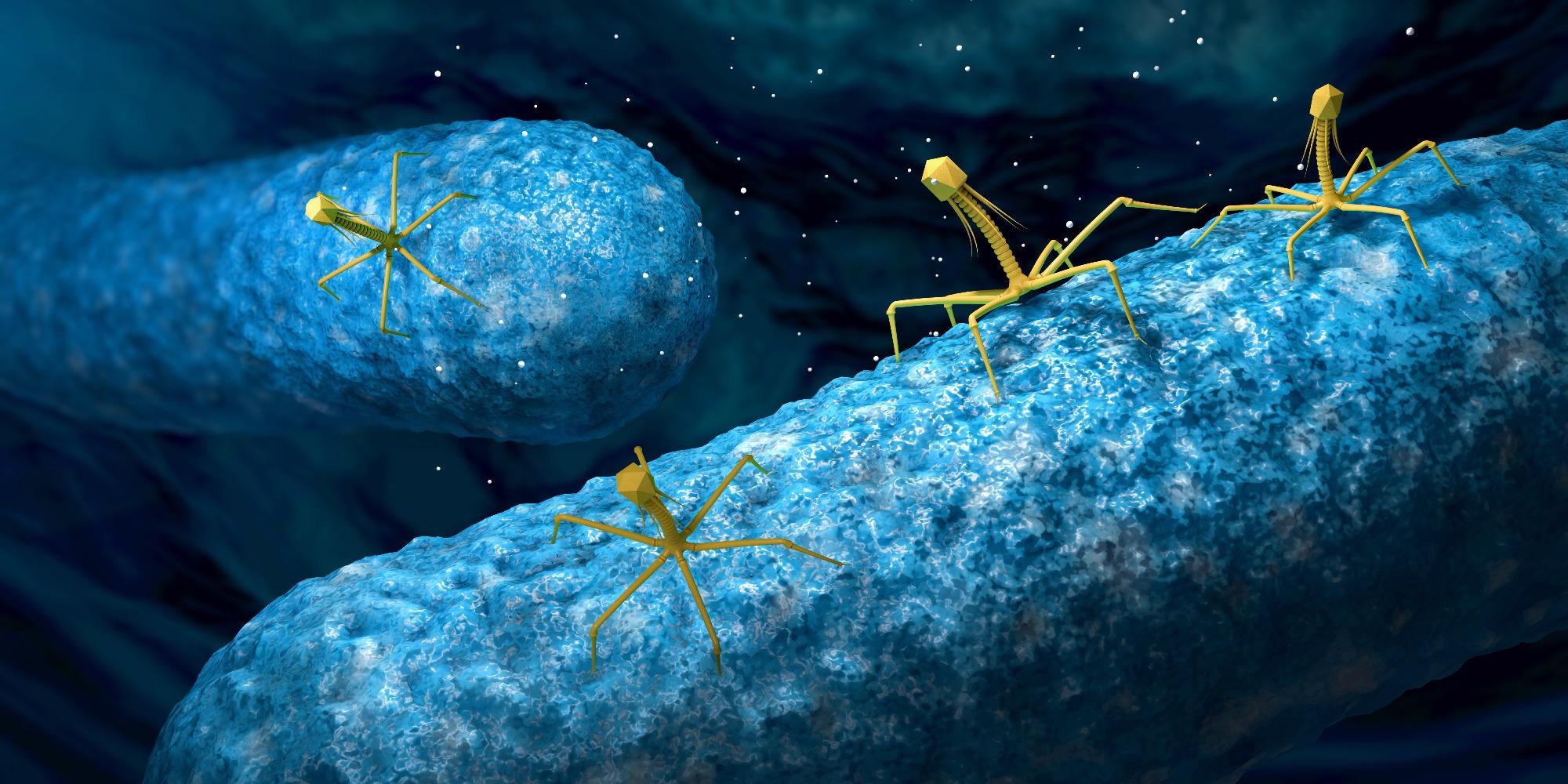 New Robotic System to Help Improve Biomolecular Evolution