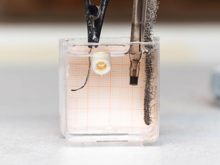 Researchers Create “Microrobots” That Can Morph into Various Shapes Before Hardening Like Bone.