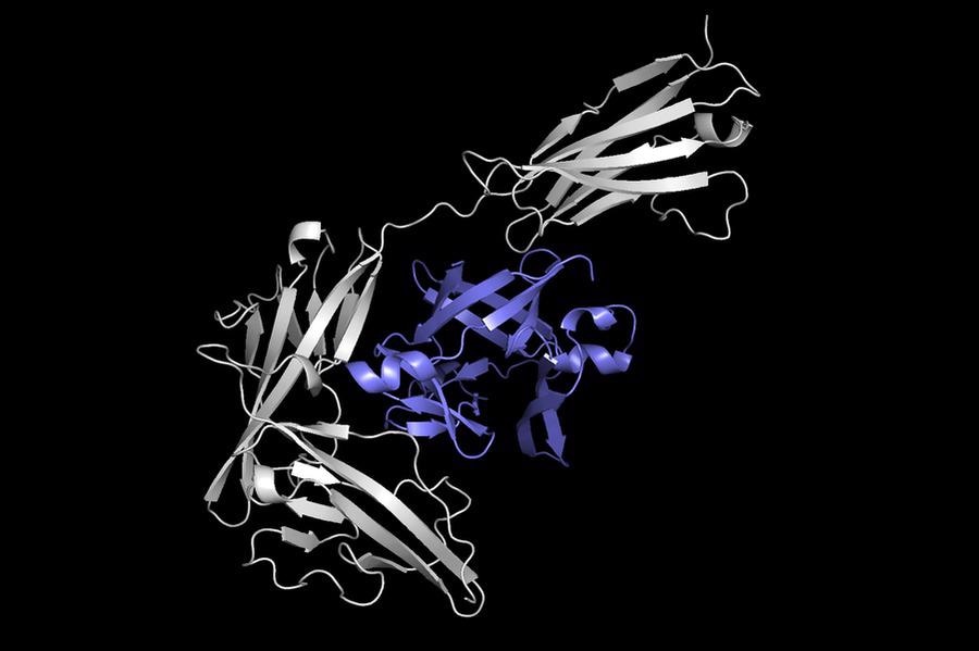 Machine-Learning System Can Rapidly Predict the Way Two Proteins Will Bind.