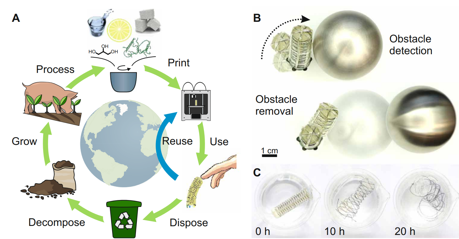 Soft Actuator Constructed Using Biodegradable Materials.