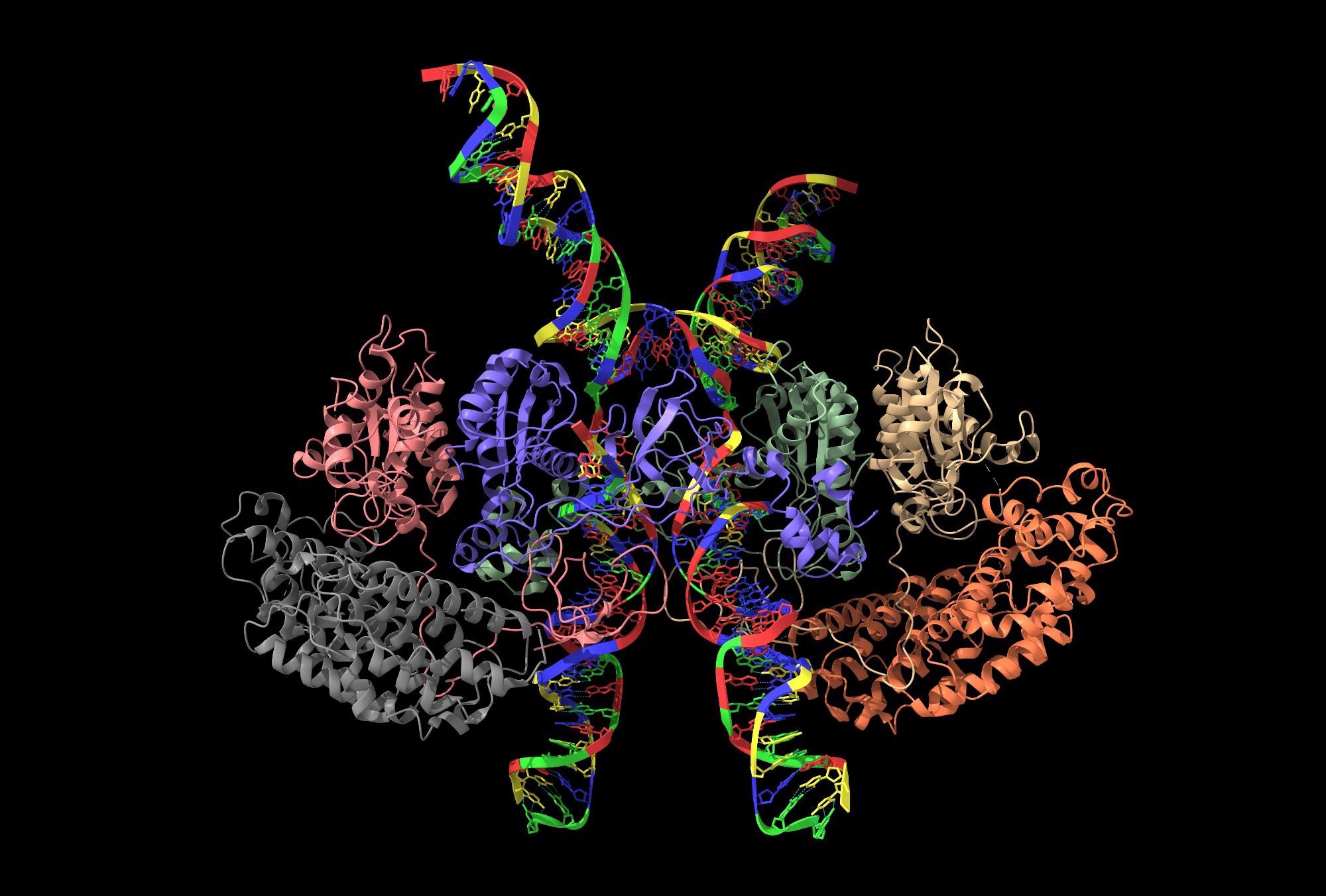 Novel AI-Based Method to Analyze Cryo-Electron Microscopy Data.