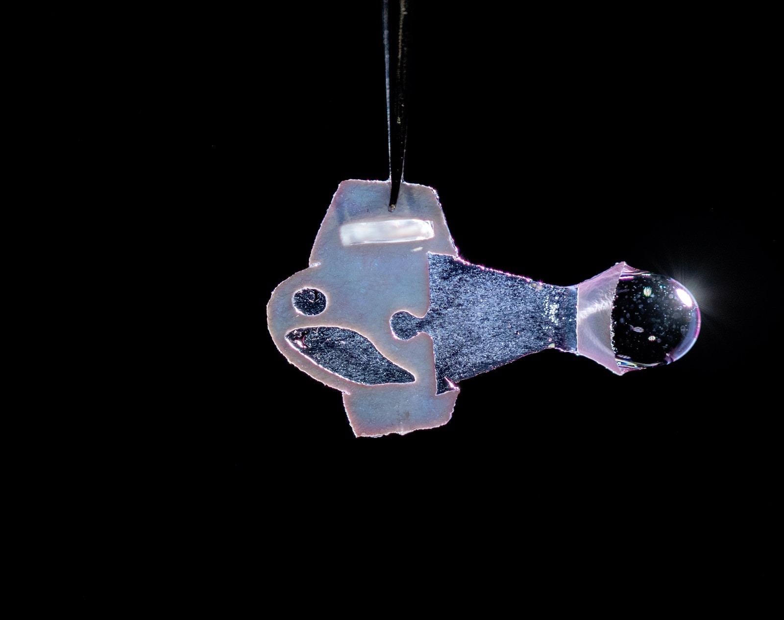 Biohybrid Robotic Fish Paves the Way for Artificial Human Heart.
