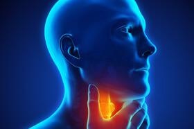 Artificial Intelligence Model Identifies Thyroid Cancer through Ultrasound Images.