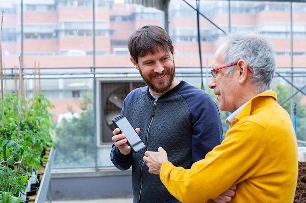 Study Highlights the Effect of Crop Performance Using Artificial Intelligence Technique.