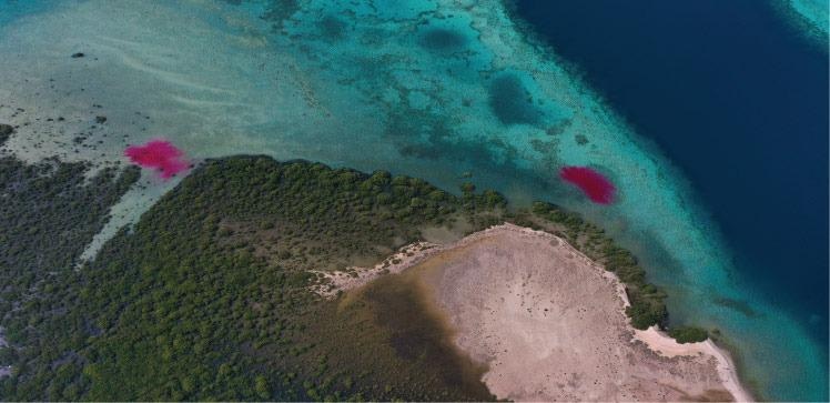 Unmanned Aerial Vehicles for Tracking Coastal Water Flows over Large Regions.