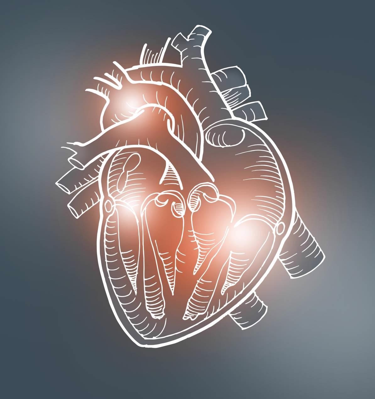 AI Used to Predict Potentially Deadly Arrhythmias is More Accurate Than Doctors.