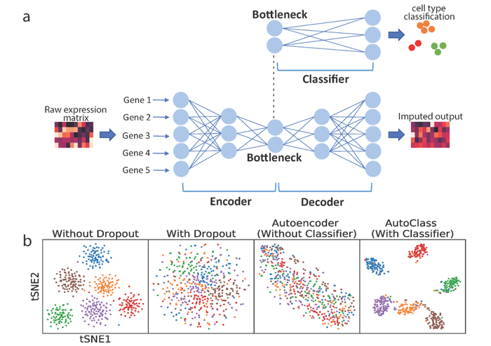 Study Shows How AI Technique Helps to Clean Single-Cell RNA-Sequencing Data.