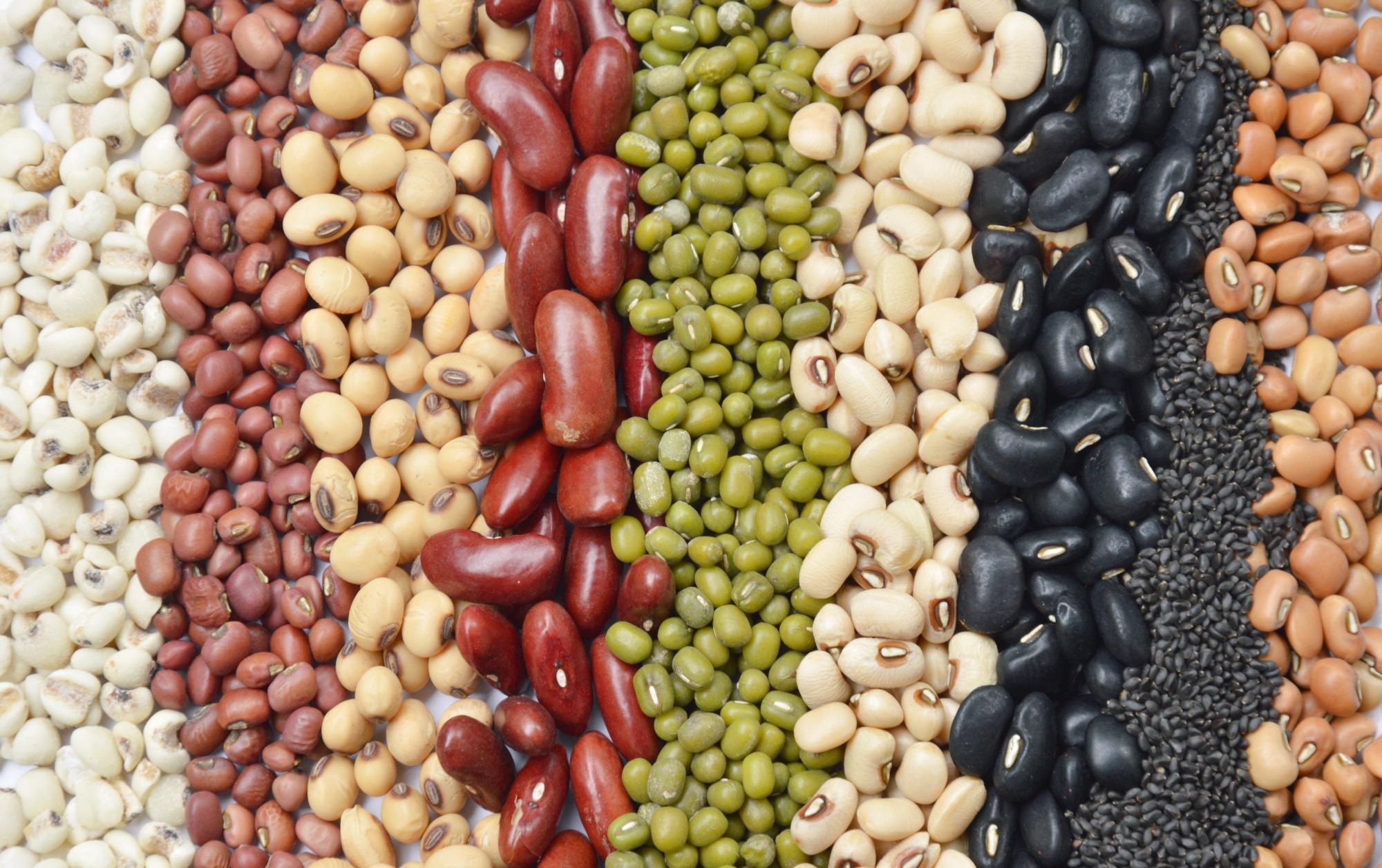 TheoryMesh Technology to Optimize Plant Protein Research and Manufacturing Scale-Up.