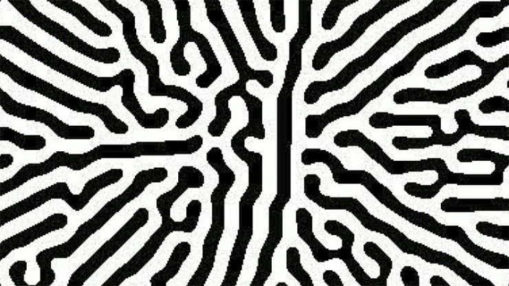 Bacterial Growth Patterns Can Be AI Message Decoders