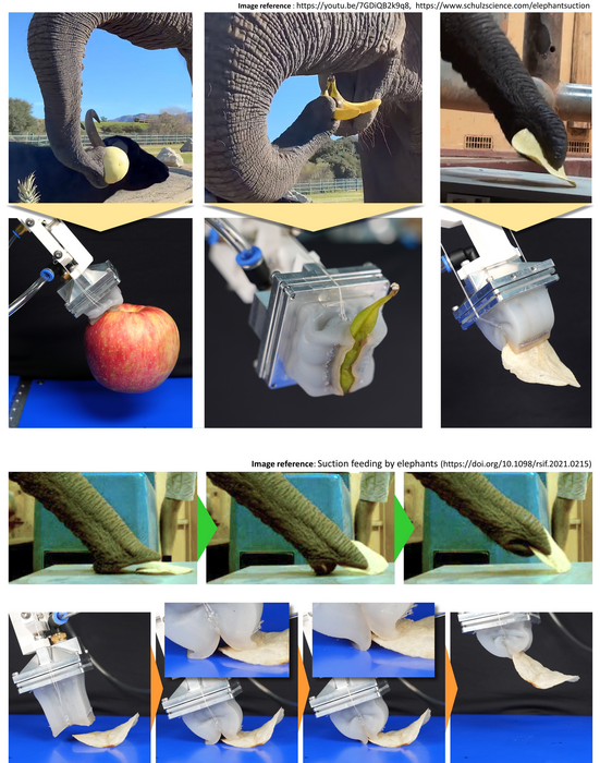 KIMM Builds First Robotic Hand Capable of Gripping Needles