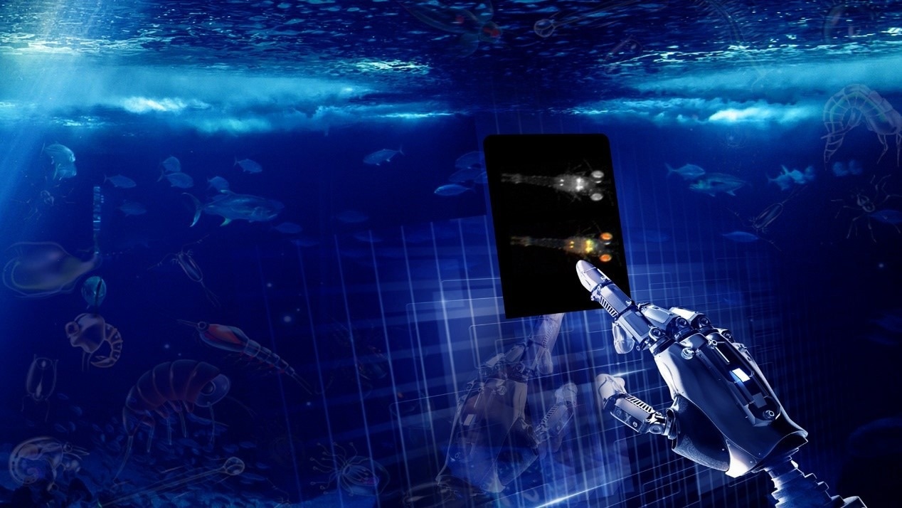 Researchers Teach AI to Colorize Images of Marine Plankton