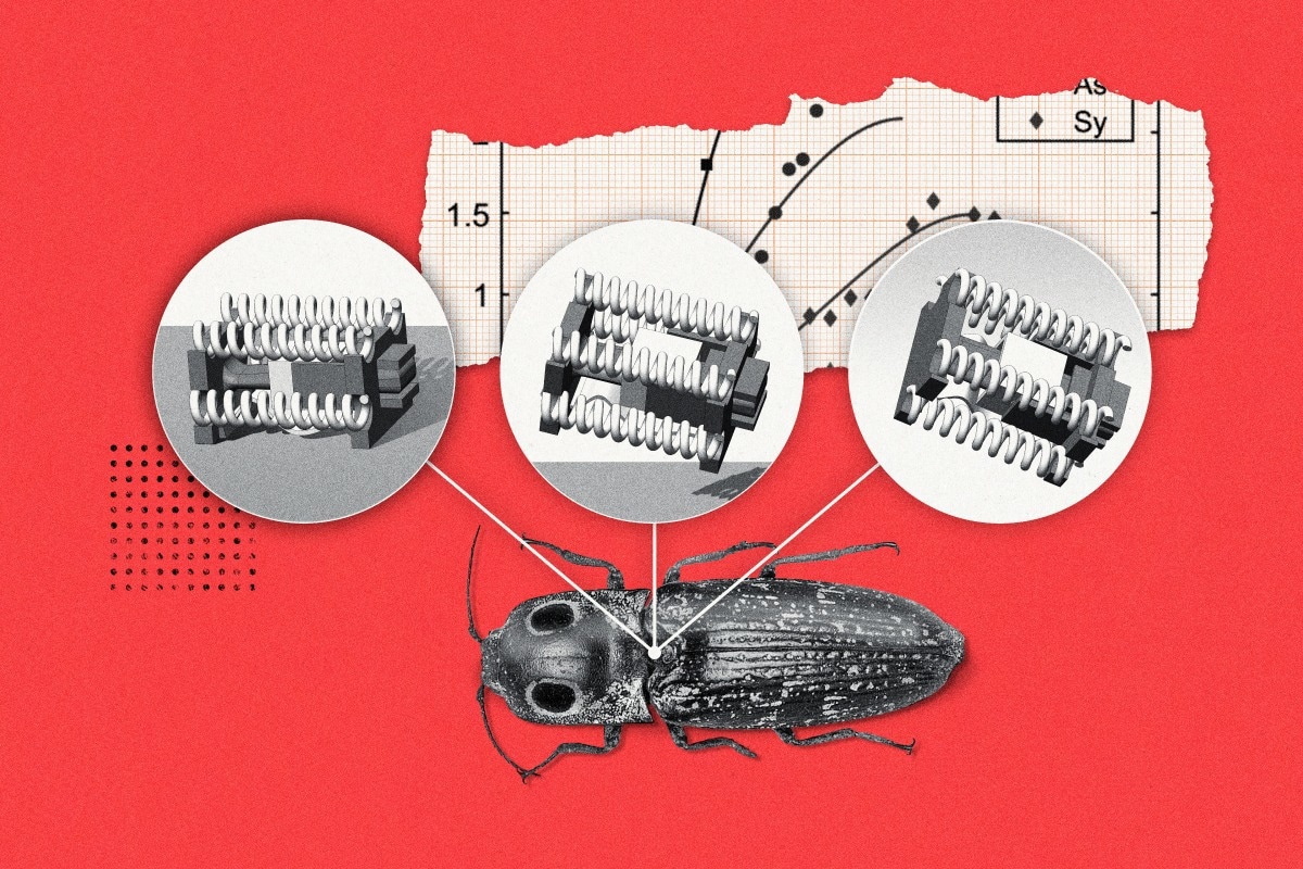 New Insect-Sized Jumping Robots to Perform Tasks in Small Spaces