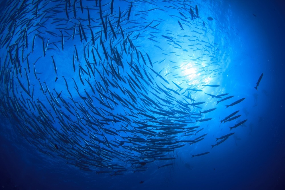 Analyzing the Collective Behavior of Underwater Robots