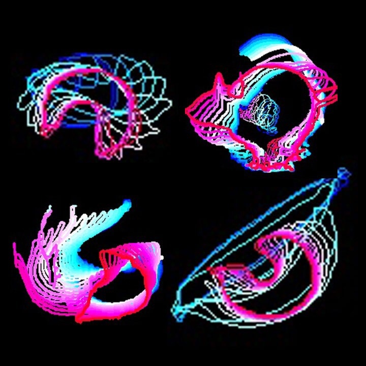 New Software Tool to Help Researchers Analyze Animal Behaviors Efficiently