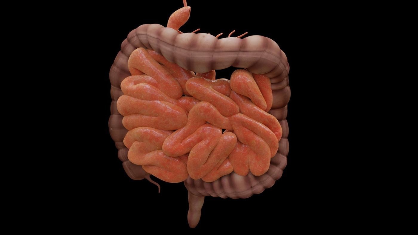 New AI Model Could Predict Flare-Ups and Complications After Reading Biopsies