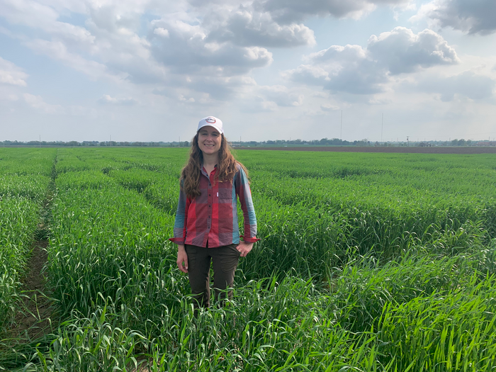 AI Offers New Hope to Solving Wheat Disease