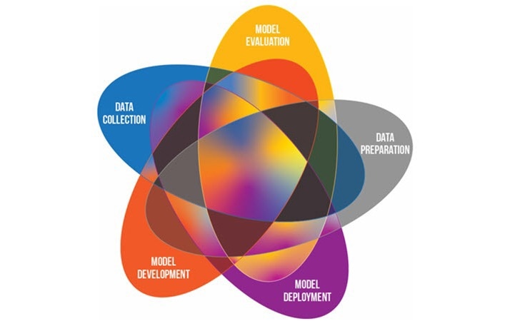 Identifying Bias in AI Models for Medical Imaging.