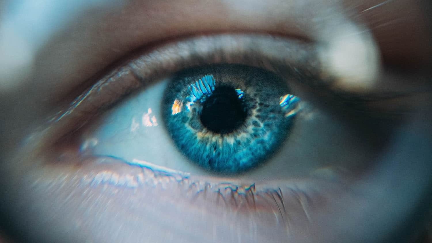 Enhancing ViTs Ability to Categorize Objects in Images