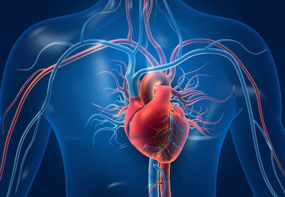 AI-QCA Holds Promise for Accurate Analysis of Heart Disease