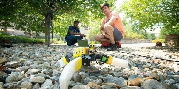 Gaining Insights into the Secrets of Robotic Sea Turtle’s Gait and Propulsion