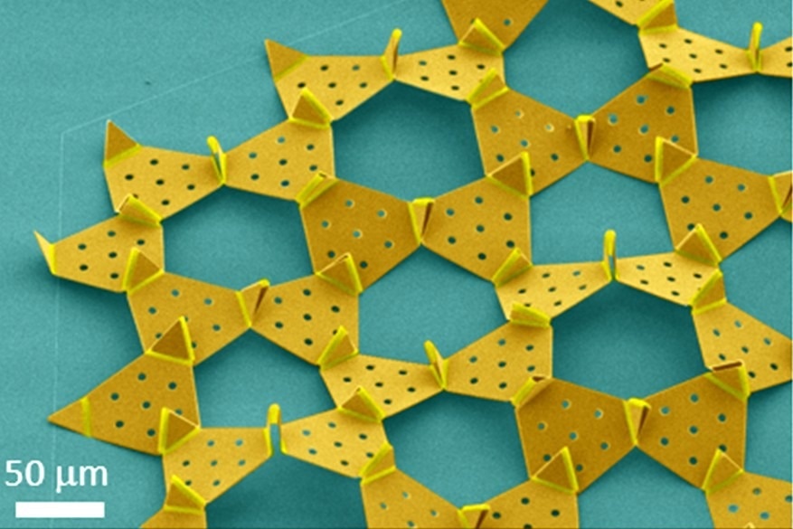 Hummingbird Beak-Inspired Micro Device Design