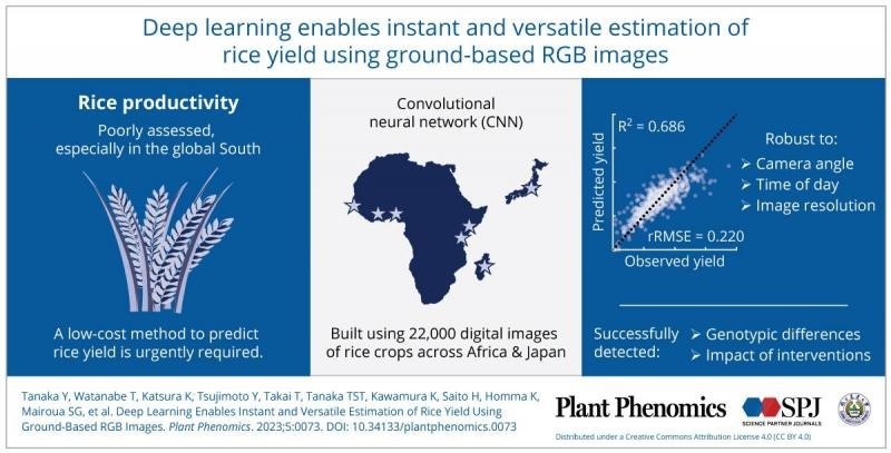 Estimating Rice Yield with a Convolutional Neural Network Model