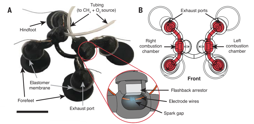 Tiny Robot, Big Feats: Combustion-Driven Actuator Fuels Innovation