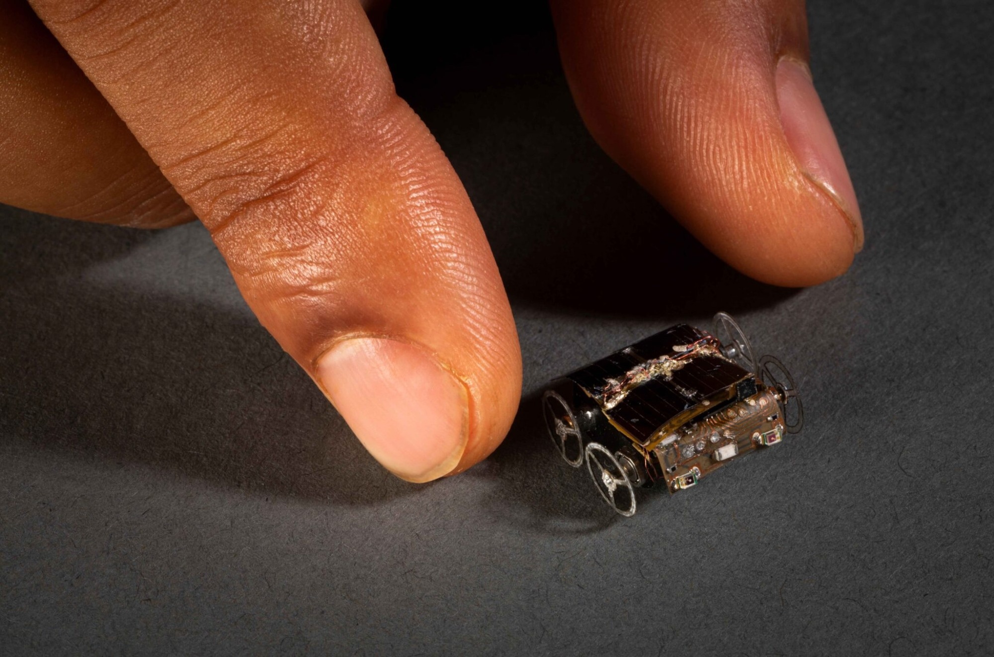 Disclosing Exciting Possibilities for the Development of Highly Efficient Quantum Devices