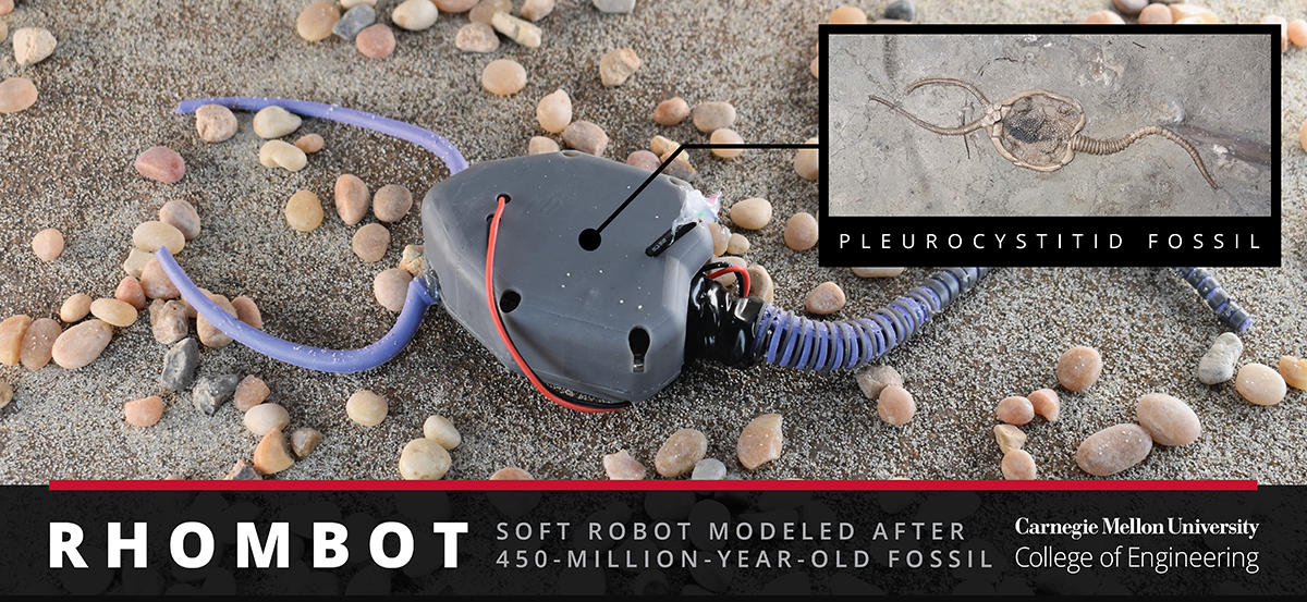 Uncovering the Mysteries of Ancient Marine Creatures with Soft Robotics