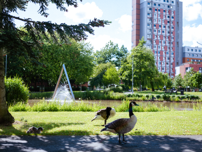New Microsoft AI-Powered Chat Available to Staff at Aston University
