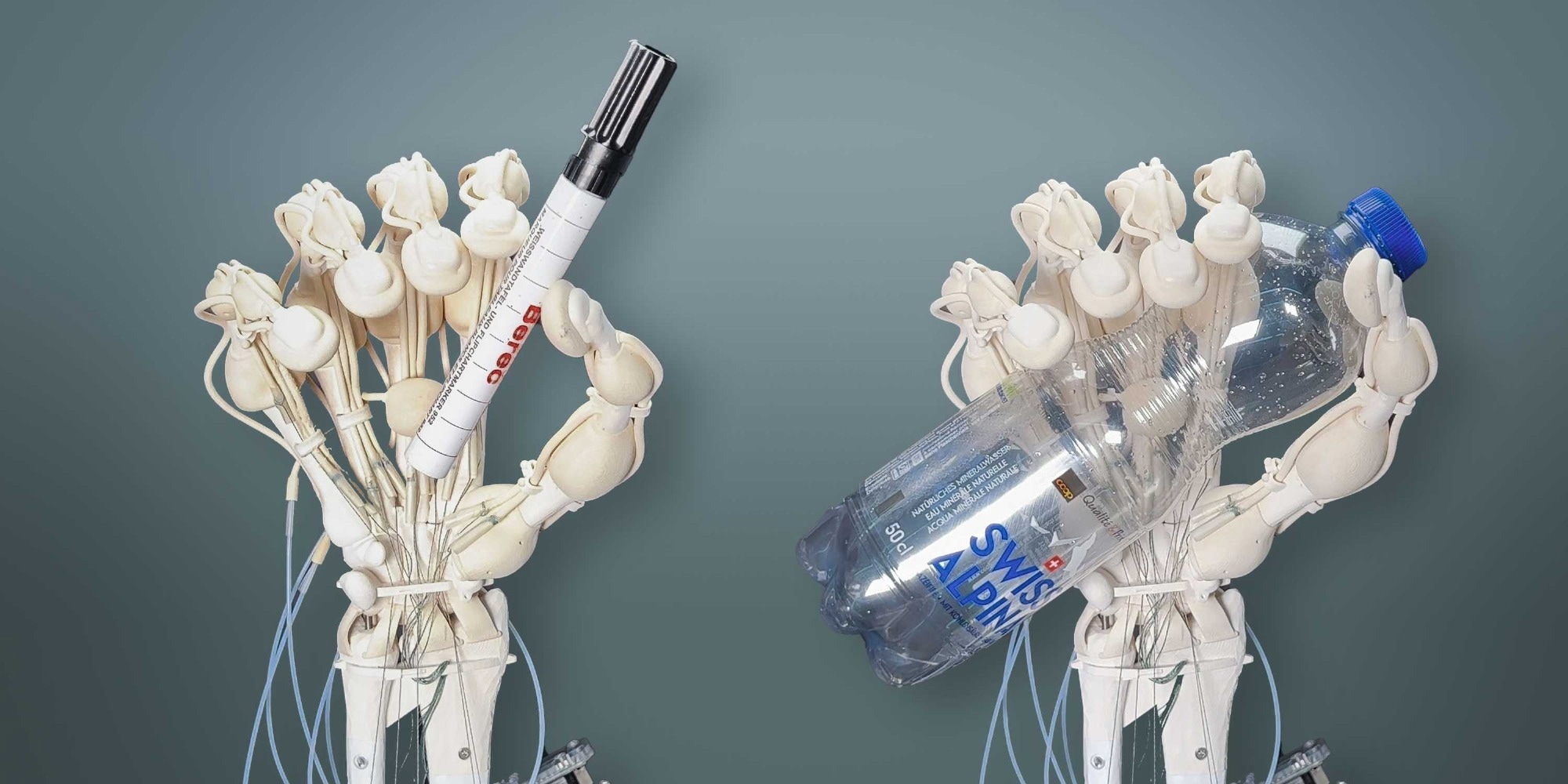 The Expansion of the Possibilities of Soft Robotics