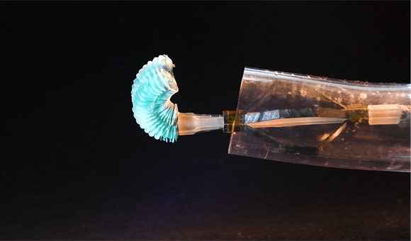 Innovative Robotic Catheter Revolutionizes Cardiac Surgery