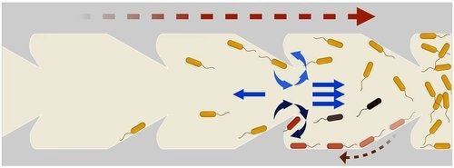 New Catheter Design Thwarts Bacteria